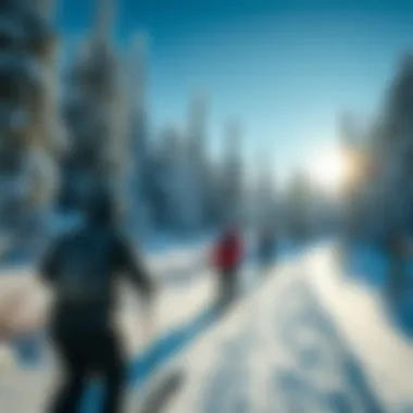 Group of skiers enjoying a winter landscape