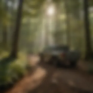 Sustainable management practices in forest stewardship