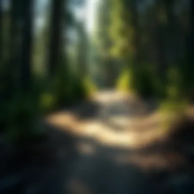 Inviting Hiking Trail A serene hiking trail winding through a forest, inviting exploration