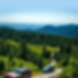 Scenic view of a wilderness area showcasing lush greenery and rugged terrain
