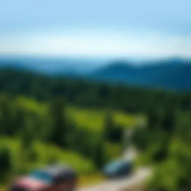 Scenic Wilderness Landscape Scenic view of a wilderness area showcasing lush greenery and rugged terrain