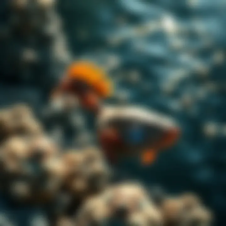 A vivid representation of Italy's coastal wildlife, showcasing diverse marine species.