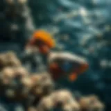 Coastal Wildlife of Italy A vivid representation of Italy's coastal wildlife, showcasing diverse marine species.