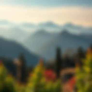 A breathtaking view of the mountainous regions of Italy, highlighting unique fauna and flora.