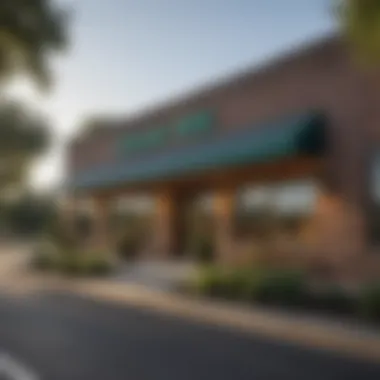 Exterior view of Dollar Tree store in Iola, Kansas showcasing its inviting entrance