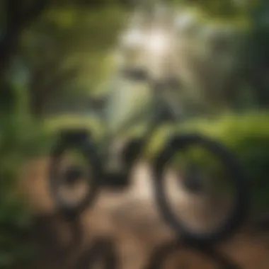 Scenic view of an e-bike parked in a lush green park