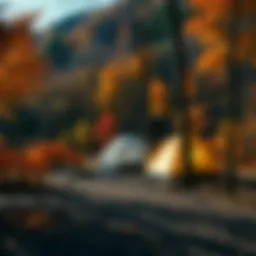 Serene campsite surrounded by autumn foliage