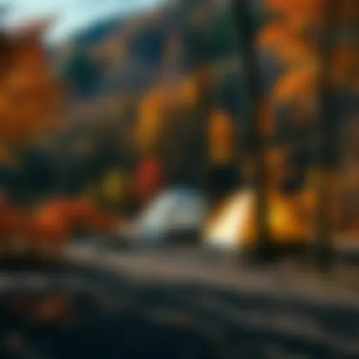 Autumn Serenity in Eastern Kentucky Serene campsite surrounded by autumn foliage