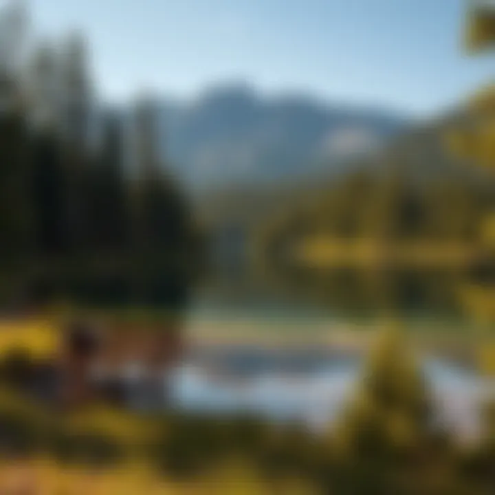 A serene lake surrounded by pine trees