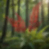 Vibrant sumac plants thriving in a woodland setting