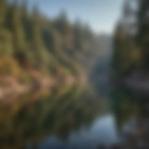 Scenic view of Lake Arrowhead in San Bernardino