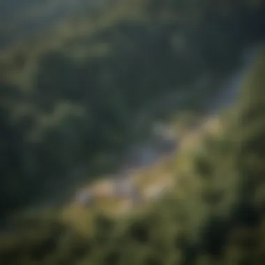 An aerial view of a hidden gem campsite nestled in the Virginia mountains