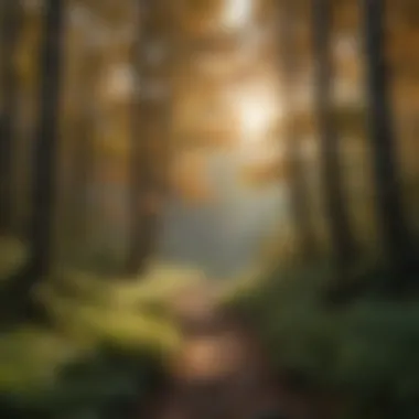 Lush forest landscape showcasing vibrant foliage and diverse plant life