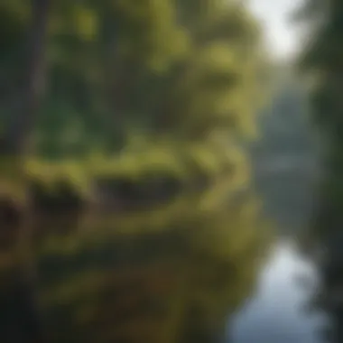 Serenity of Helena's Waterways Tranquil Helena river with lush surroundings