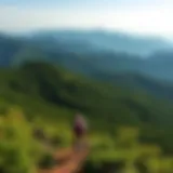 Breathtaking Scenic View from Hiawassee Hiking Trail Scenic view from a hiking trail in Hiawassee showing lush greenery and mountains