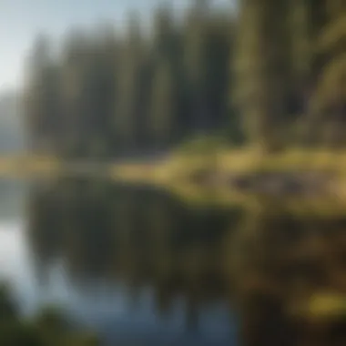 A serene lake surrounded by pine trees