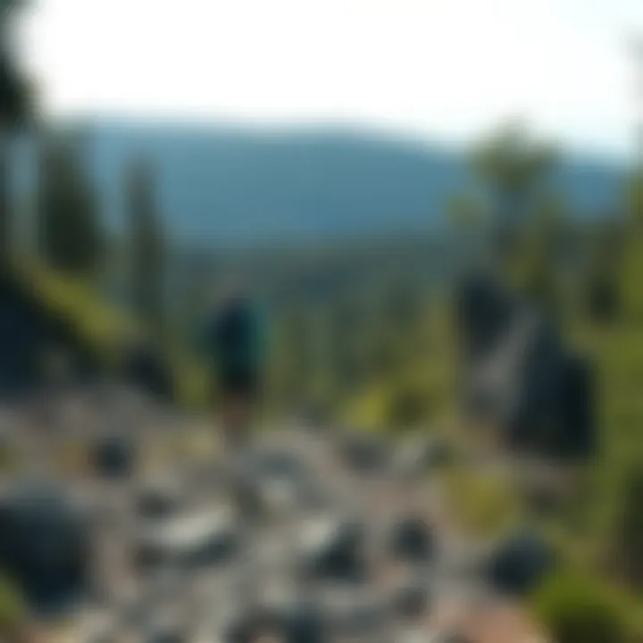 Hiker navigating a rocky path surrounded by wilderness