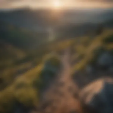 Hikers enjoying a panoramic view from a summit