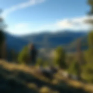 Natural Heritage: The Land of Indigenous Tribes A serene view of the natural environment that is integral to the lives of Wyoming's Indigenous Tribes