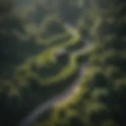 Aerial view of winding jeep trails through lush greenery in Ocala National Forest
