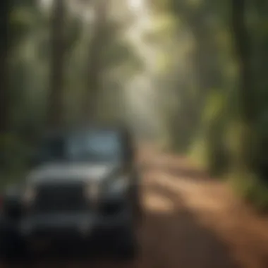 A scenic view of a winding Jeep trail through lush Alabama forests