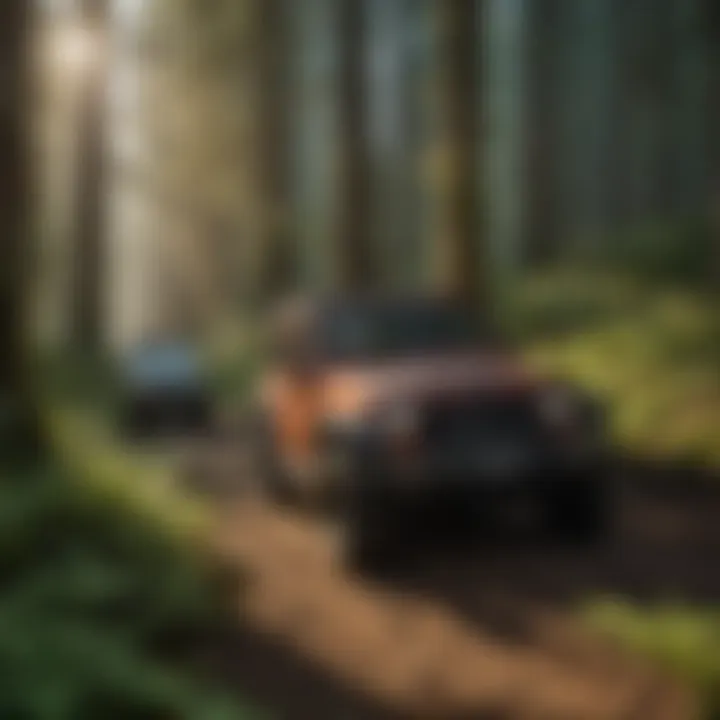Jeep navigating through lush greenery in forest