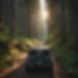 Scenic viewpoint overlooking dense forest trails