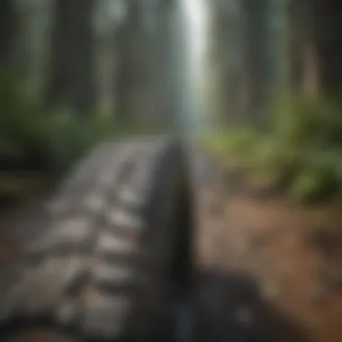 Close-up of tire tracks on a rugged jeep trail