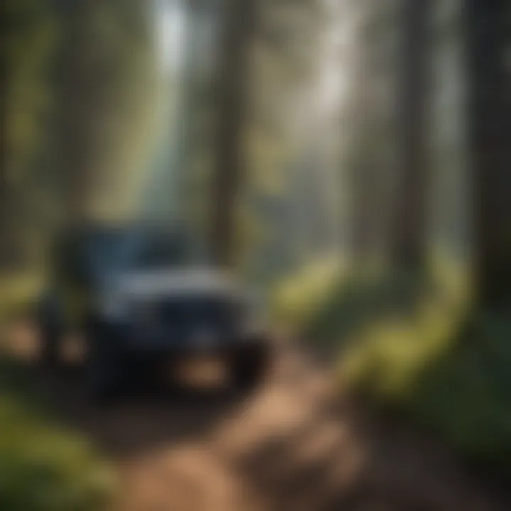 Wildlife in a protected forest area near a jeep trail