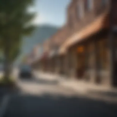 Scenic view of Lakewood, Colorado showcasing local businesses