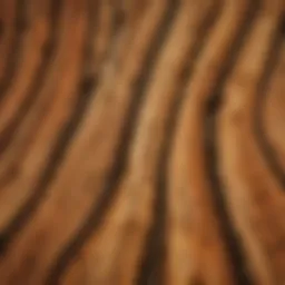Close-up view of Juniperus wood grain showcasing its unique patterns