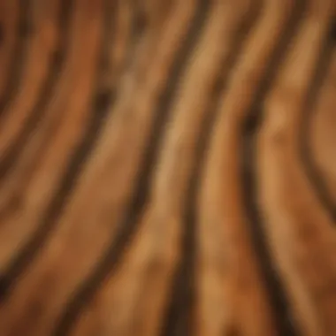 Close-Up of Juniperus Wood Grain Close-up view of Juniperus wood grain showcasing its unique patterns