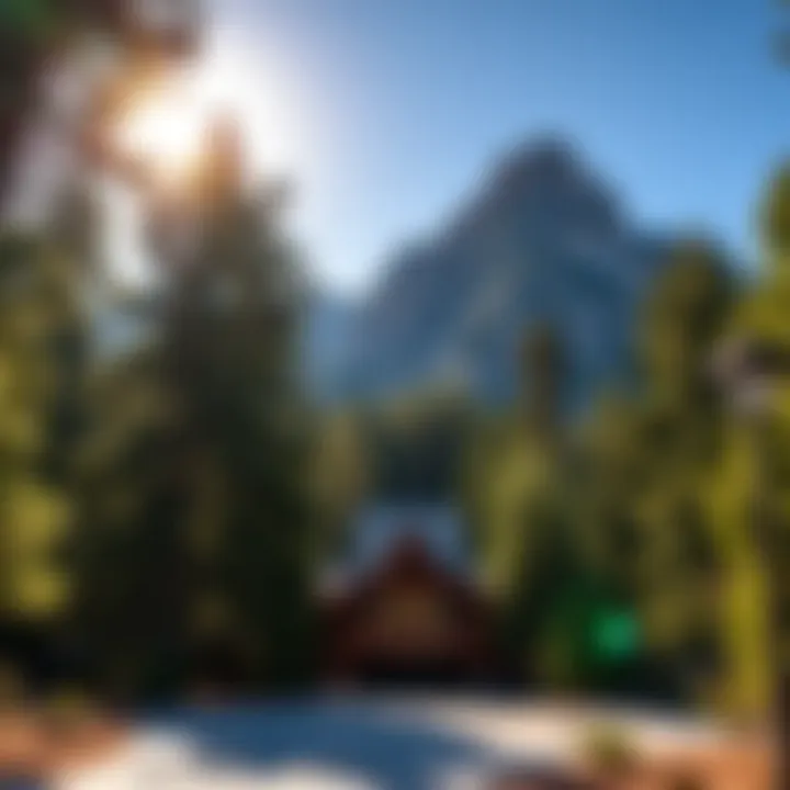 Scenic view of Kings Canyon National Park Visitor Center surrounded by towering trees