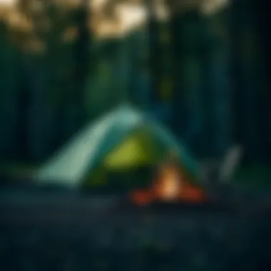 Campsite with a tent and campfire at Lake Anna