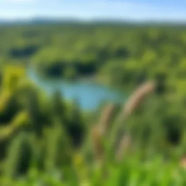 Scenic view of Lake Anna surrounded by lush greenery