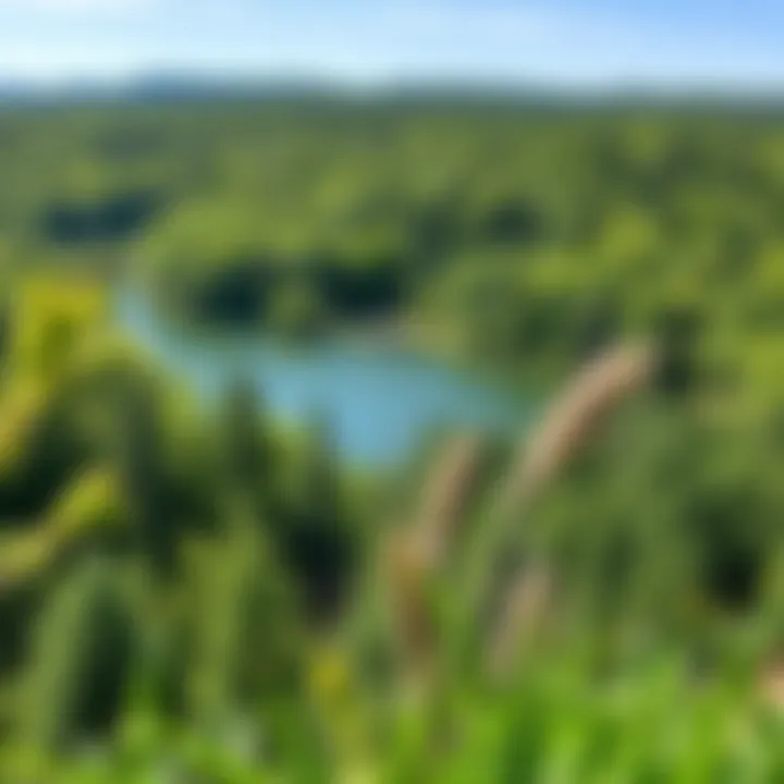 Scenic view of Lake Anna surrounded by lush greenery