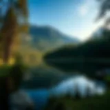 Serene lake surrounded by lush forest