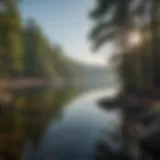 Panoramic view of Lake Ouachita surrounded by lush forests