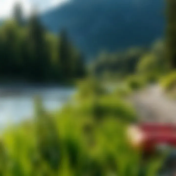 Lush greenery along the riverbanks, highlighting the ecological importance of the region.