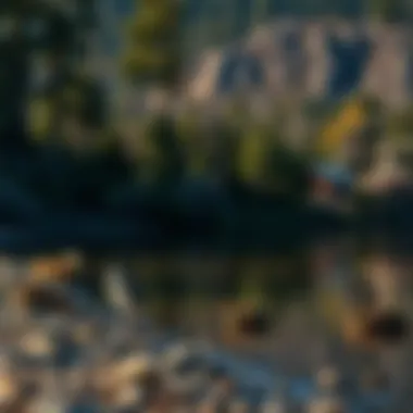 Diverse wildlife inhabiting the shores of Manzanita Lake