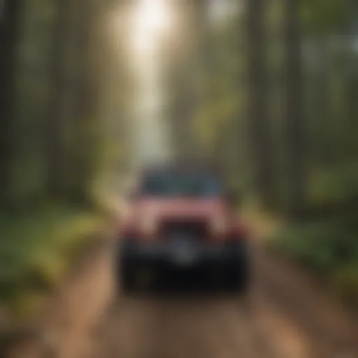 Scenic view of a rugged Jeep trail in Michigan