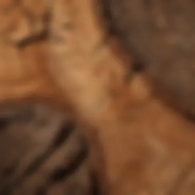 Cross-section of milled wood showing grain patterns