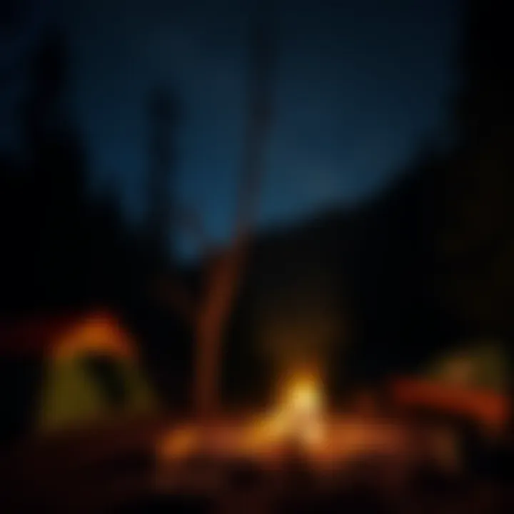 Campfire setup under the stars at Mount Hood