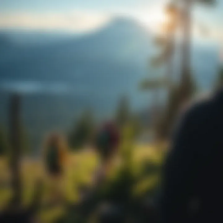 Hikers enjoying the scenic trails around Mount Hood