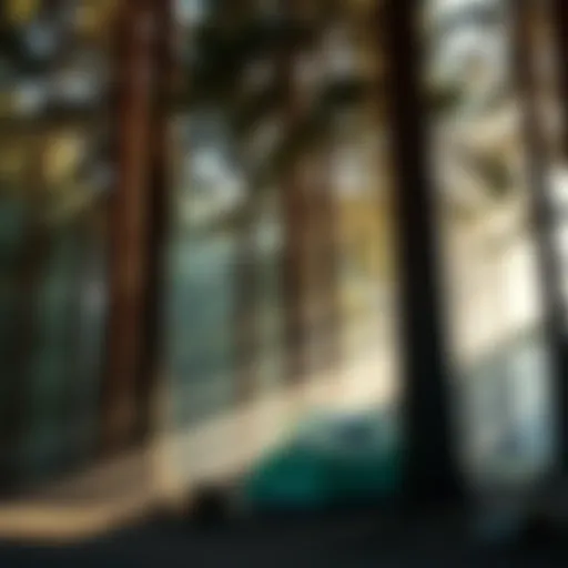 Tranquil scene of Mount Hood Campground with towering trees