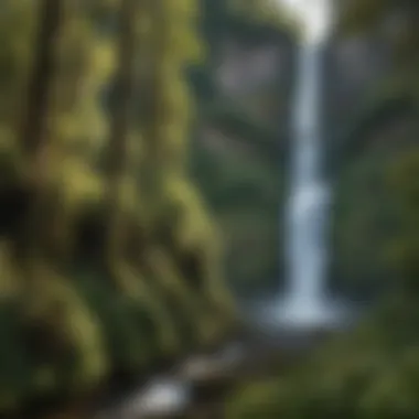 Cultural Significance of Multnomah Falls Cultural artifacts and narratives linked to Multnomah Falls