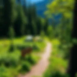 Scenic view of Mustang Ridge Campground showcasing lush greenery