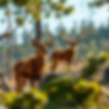 Wildlife in the natural habitat surrounding Mustang Ridge