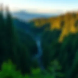 A panoramic view of Myrtle Creek showcasing its lush forests and serene landscape