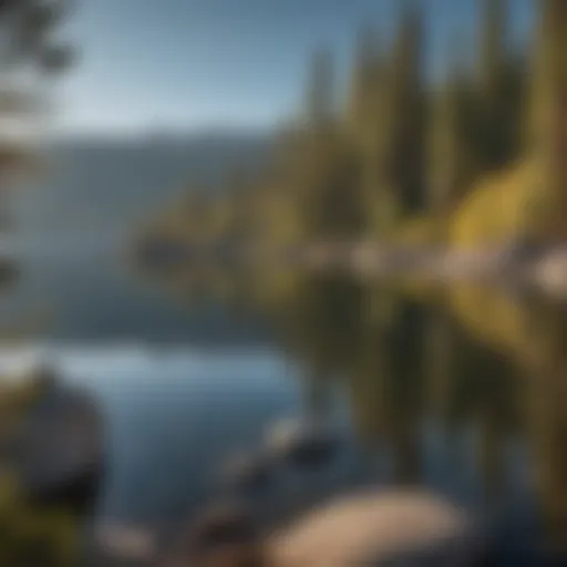 Breathtaking view of Lake Tahoe surrounded by lush pine trees